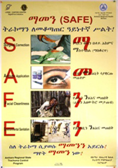 Poster example