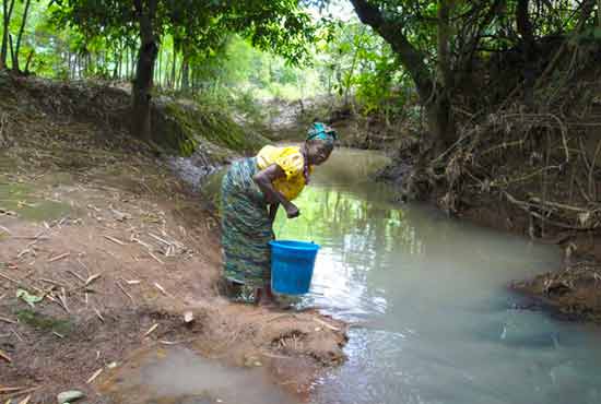 nigeria diseases