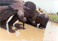 Sudanese boys use pipe filters to protect themselves from contracting Guinea worm disease.