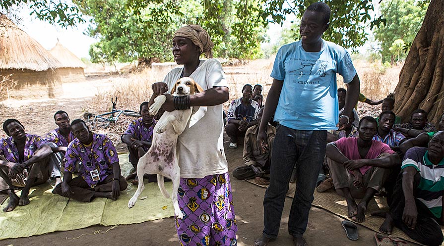 Khartouma Kimani (left), 36, and Kara Kadouloum, 33, show where to check dogs for Guinea worms during a community awareness program in Marabe, Chad, in April 2018.