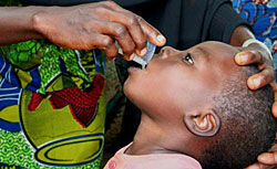 First Trachoma Treatment in Nigeria
