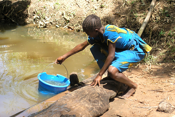 In collaboration with Nigeria's Federal Ministry of Health, the Center's strategy for elimination of Guinea worm disease consisted of several components, including treating stagnant ponds monthly with safe ABATE® larvicide.