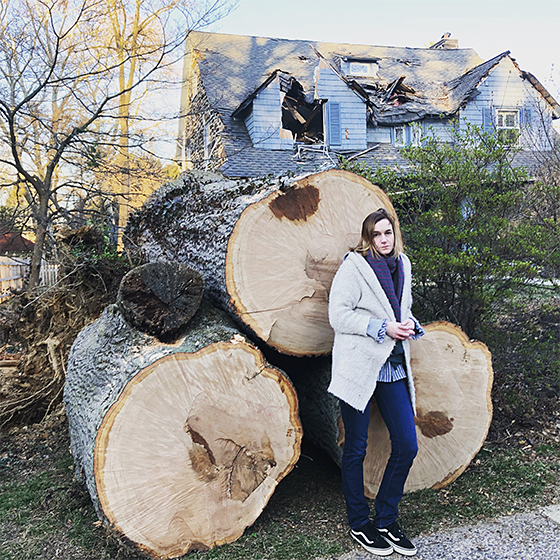 During her fellowship year, a giant oak tree crashed into Courtenay Harris Bond's home in Philadelphia, disrupting her life and work.