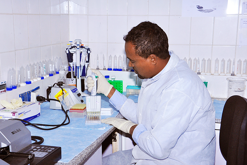 Ethiopia’s Onchocerciasis Elimination Program operates a state-of-the-art laboratory in Addis Ababa to study blood and skin samples and captured black flies. (Photos: The Carter Center)