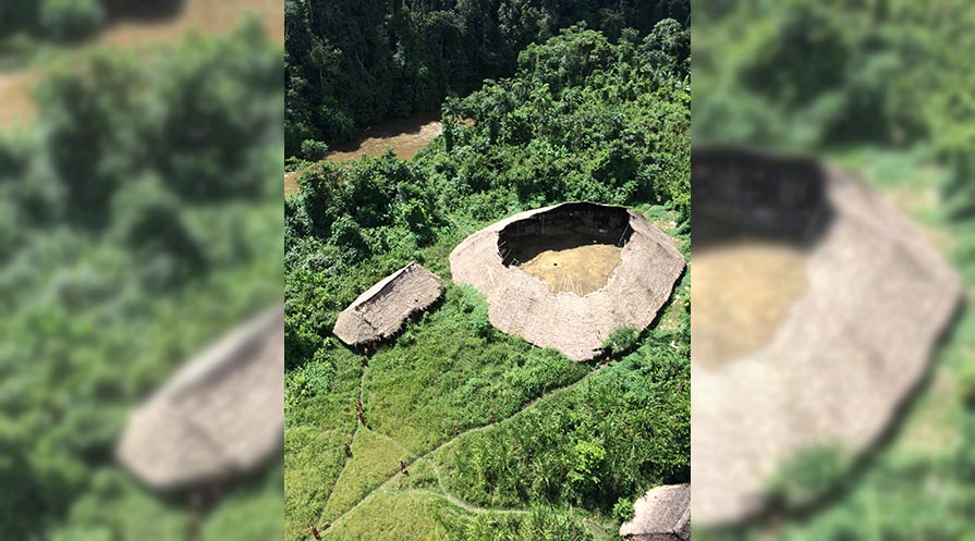 The Yanomami rely on jungle paths, several of which can be seen here, for their everyday needs. Pathways play a key role in the Yanomami worldview, including the concept of health.