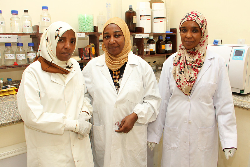 Lab technicians Wigdan Elmubarak, Huda Ahmed, and Zeinab Abd El-Rahim Shumo (left to right) work in a Carter Center-supported onchocerciasis lab in Khartoum, Sudan. They spend their days examining flies, blood samples, and snips of skin that have been collected in the field to see if they contain evidence of the parasites that cause river blindness.