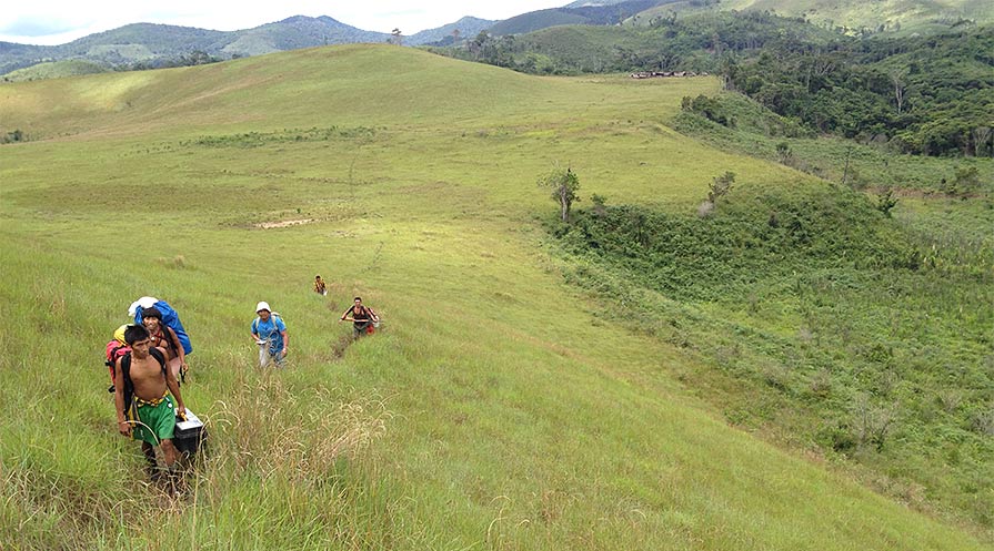 Health workers in the Amazon Rainforest must travel on foot to treat and prevent river blindness in indigenous Yanomami communities.