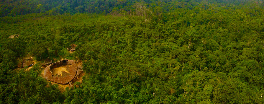 Amazon landscape.
