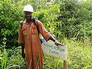 spray okra crop