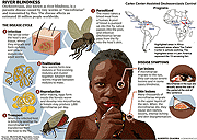 Cycle of River Blindness Program
